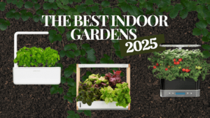 The best Smart Indoor Gardens for 2025